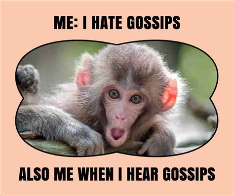 gossip meme